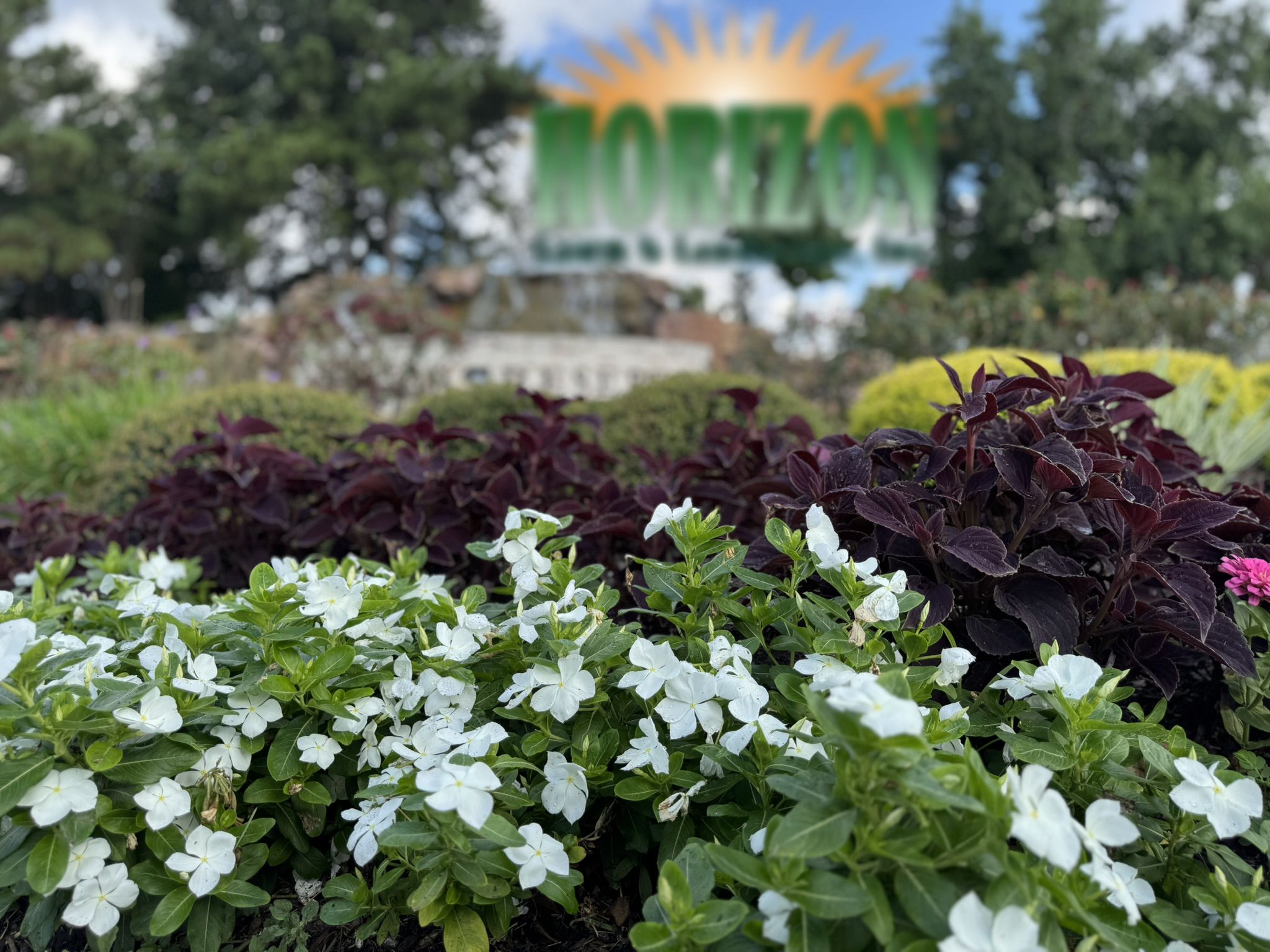 Horizon Commercial Landscaping