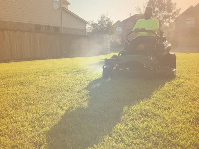 Mower