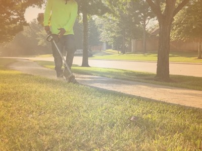 Trimmer