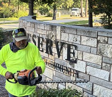 Trim Shrubs