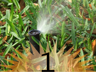 IrrigationReasons01