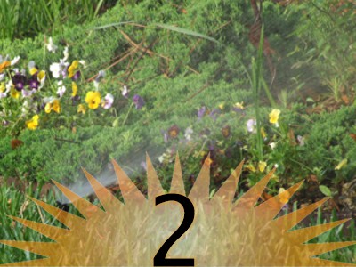 IrrigationReasons02