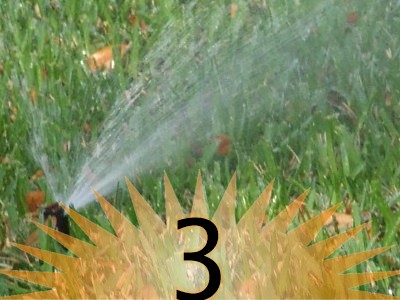 IrrigationReasons03