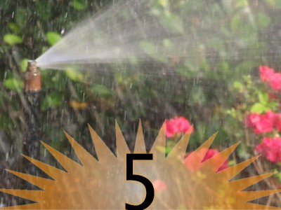 IrrigationReasons05
