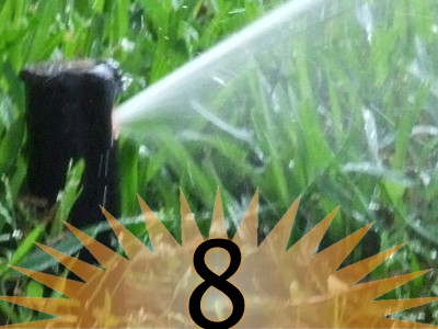 IrrigationReasons08