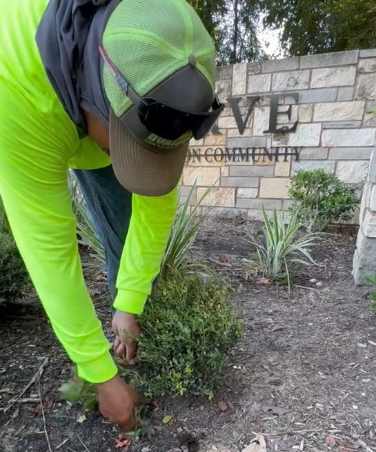 Pulling Weeds
