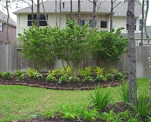 BushesKeithsKorner