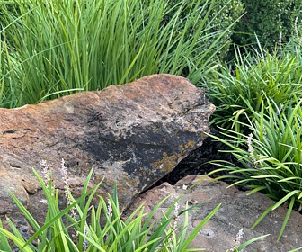 Edge Treatment