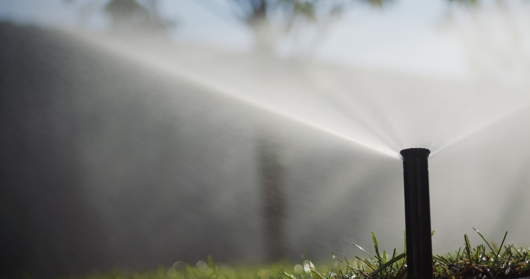 Sprinkler head watering green turf