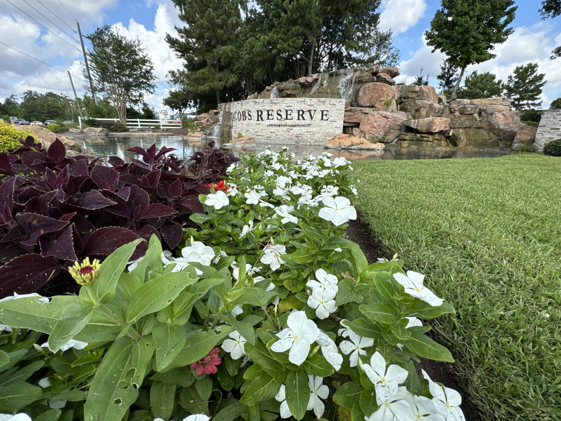 Commercial entrance sign with fresh landscaping
